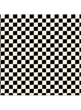 Ruby Star Society 1 800 Calico Checks and Plaids Black