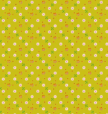 Ruby Star Society 1 800 Calico Bandana Pistachio