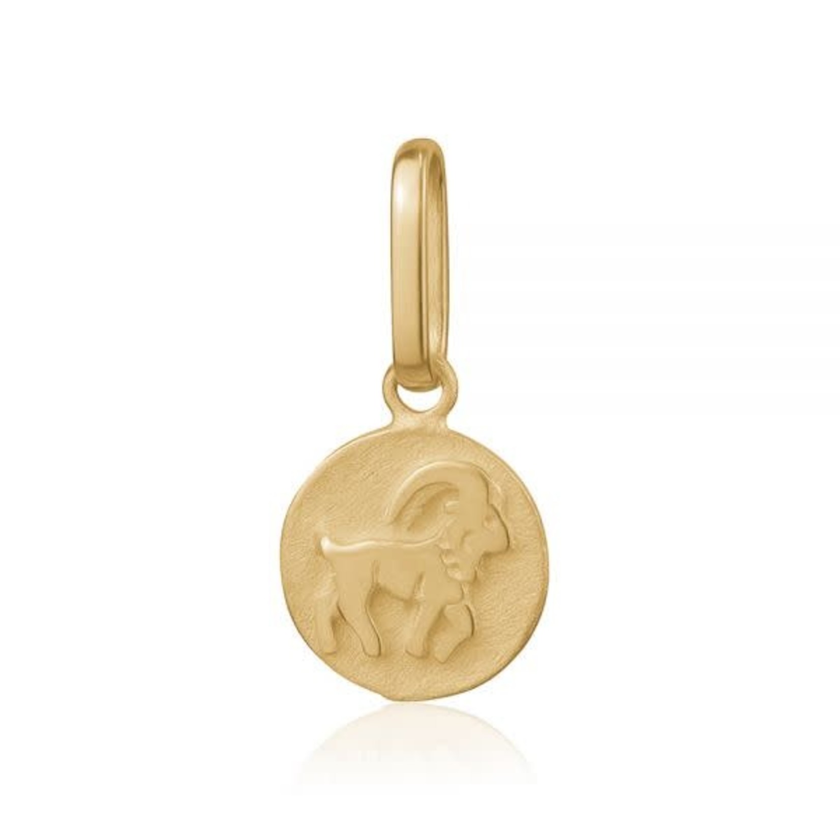 10KY Tiny Zodiac Charm Capricorn