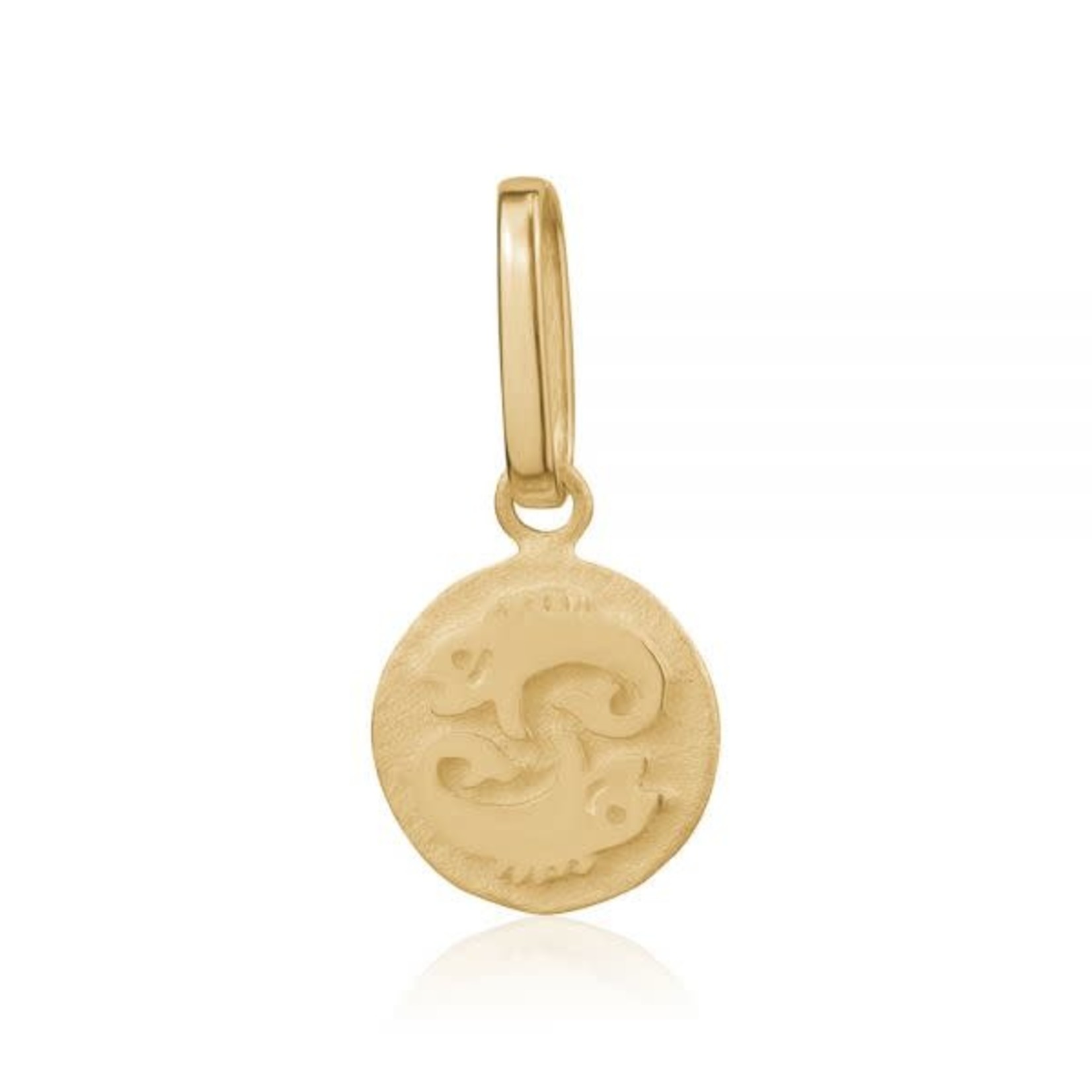 10KY Tiny Zodiac Charm Pisces