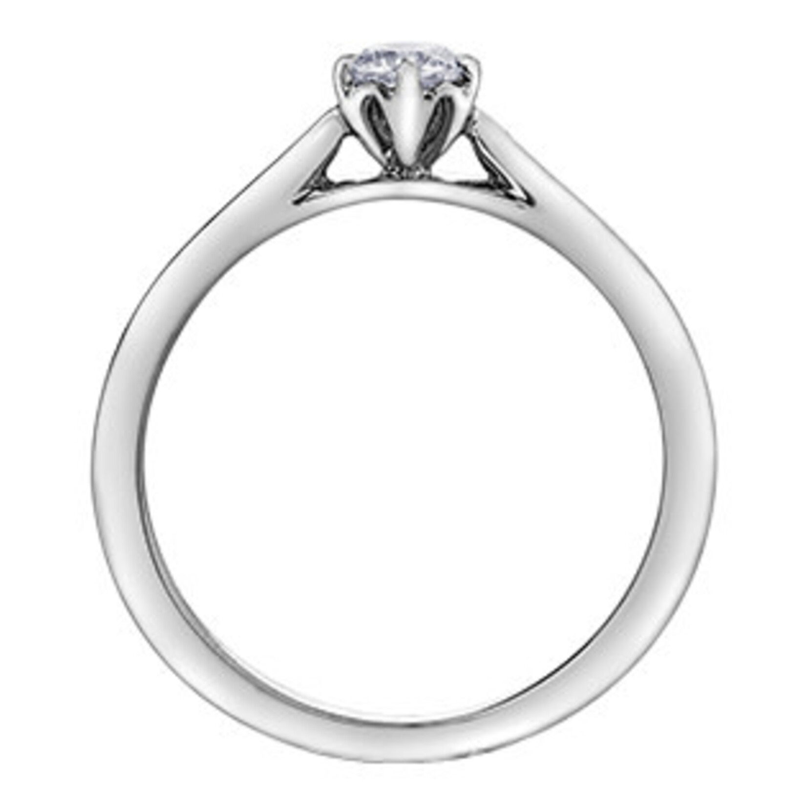 Maple Leaf Diamonds 18KPD WG 1 CD#CM-343451 One-Fifty .18CTDiamond Ring