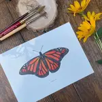 Beam Paints Paint By Numbers - Monarch