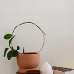 Copper & Needle Circle Copper Plant Trellis