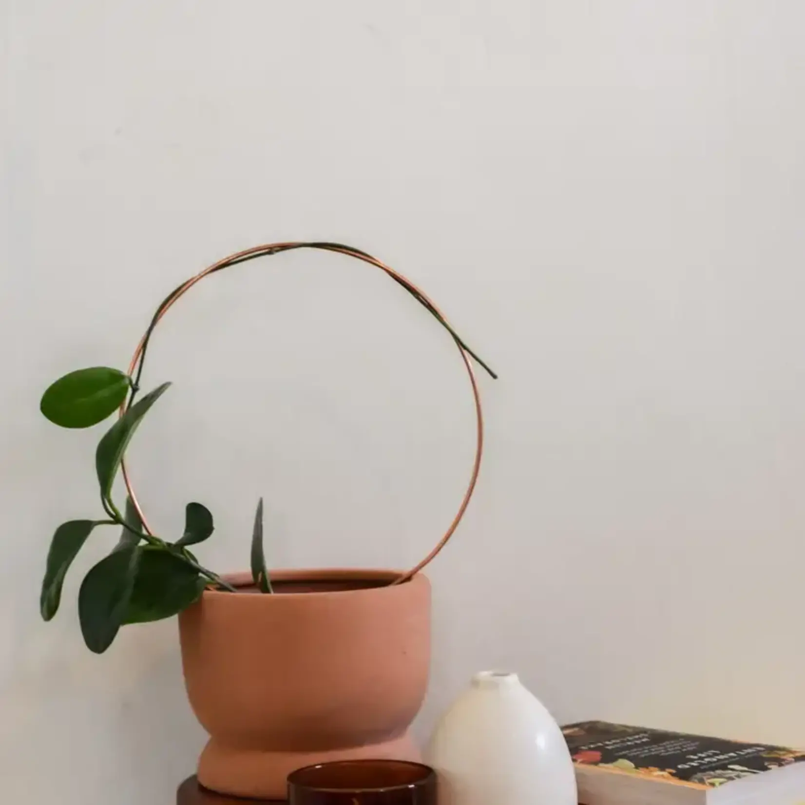 Copper & Needle Circle Copper Plant Trellis