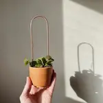 Copper & Needle Mini Arch Copper Plant Trellis
