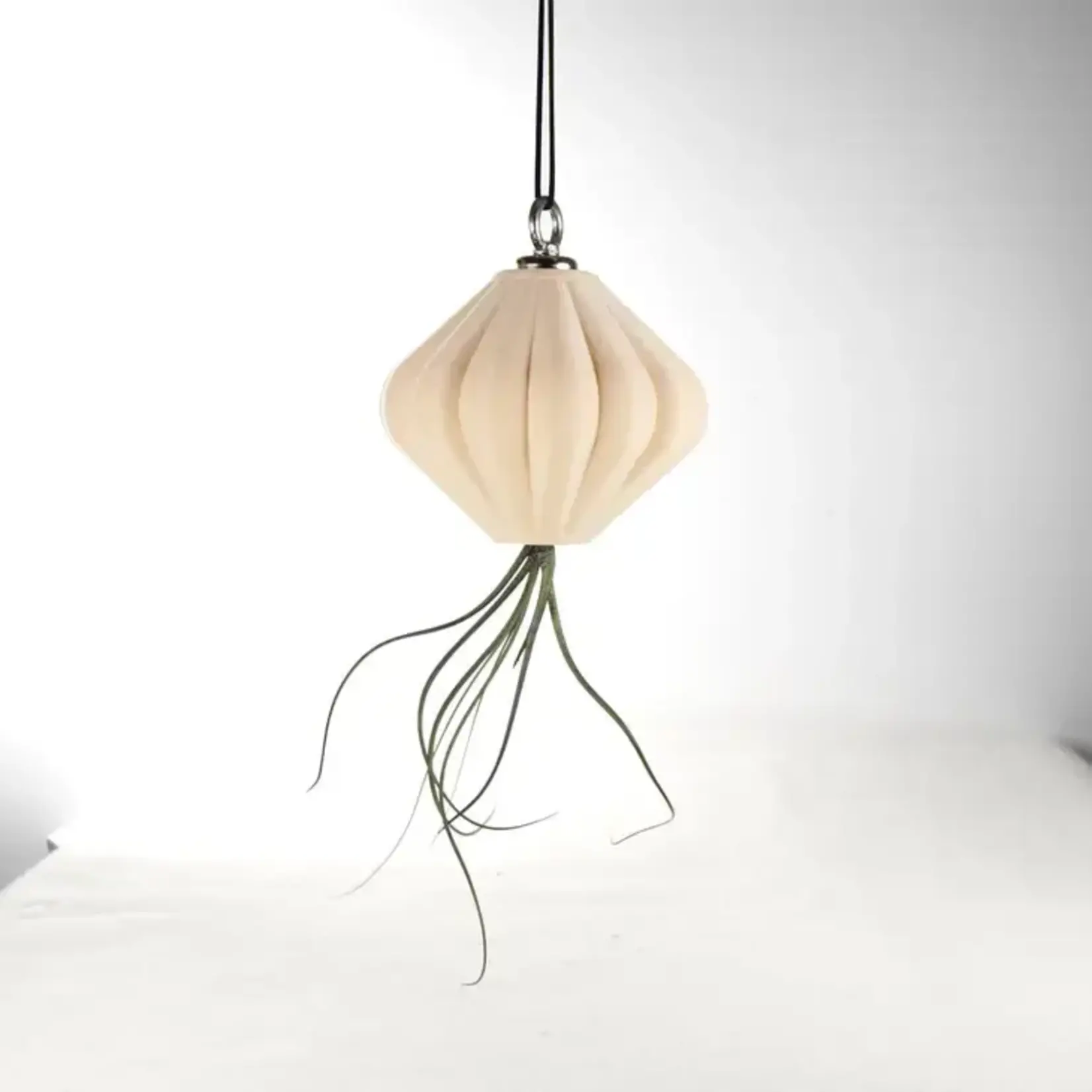 Rosebud Homegoods Jellyfish Air Planter 3D Printed Pot - Upside Down Planter 6" White