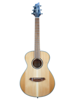 Breedlove Breedlove Discovery S Companion Red cedar-African mahogany