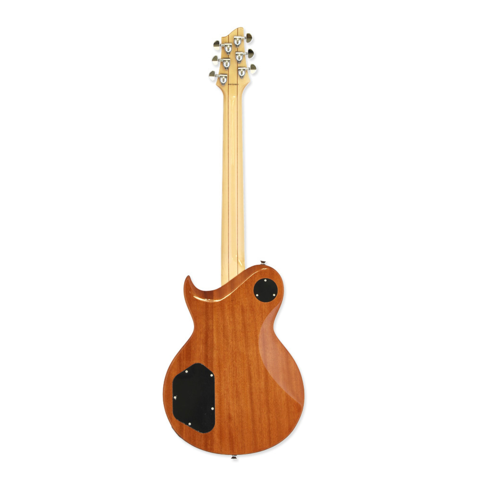 Aria Pro II Aria Pro II PE-480 Single Cutaway Electric Guitar
