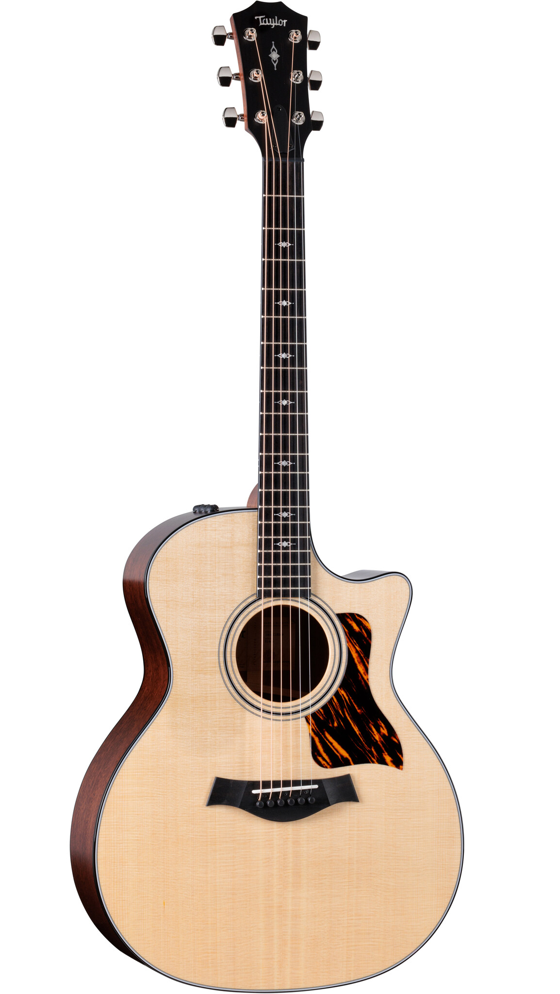Taylor 314ce l r baggs 有っ anthem
