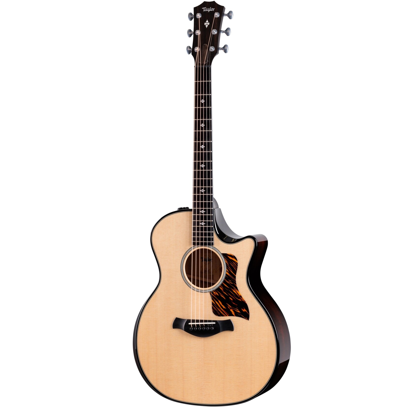 Taylor Guitars Taylor Builder's Edition 514ce acoustic electric guitar with hard case