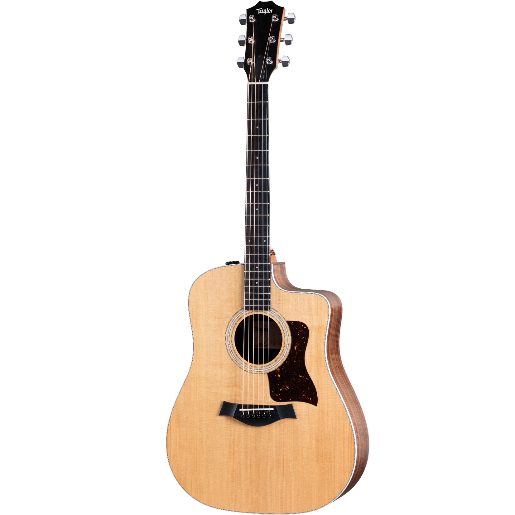 Taylor Guitars Taylor Guitars 210ce acoustic electric guitar with gig bag