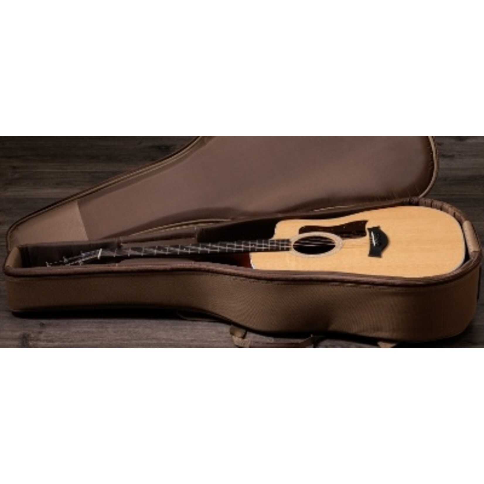 Taylor Guitars Taylor Guitars 210ce acoustic electric guitar with gig bag