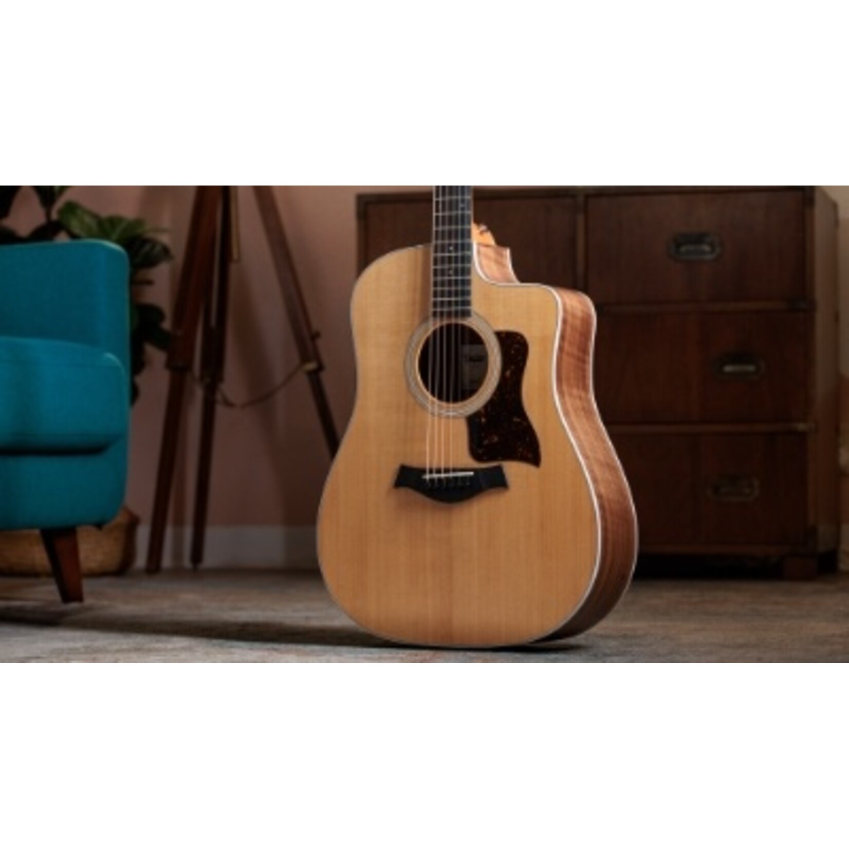 Taylor Guitars Taylor Guitars 210ce acoustic electric guitar with gig bag
