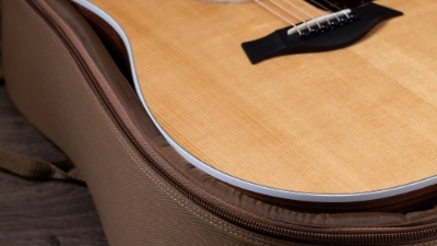 Taylor Guitars 210ce