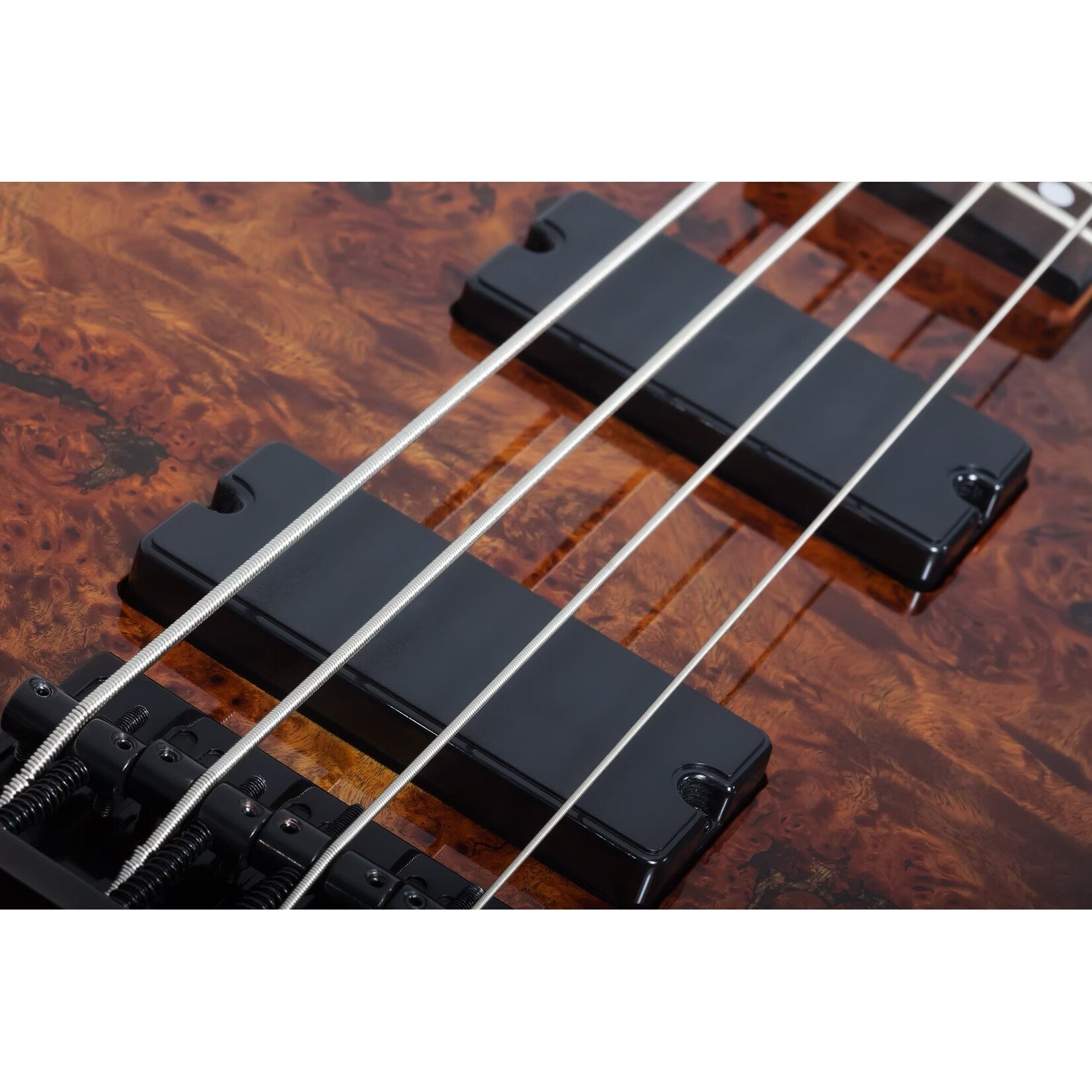 Schecter Guitar Research Schecter C-4 Standard electric bass in Tobacco Burl