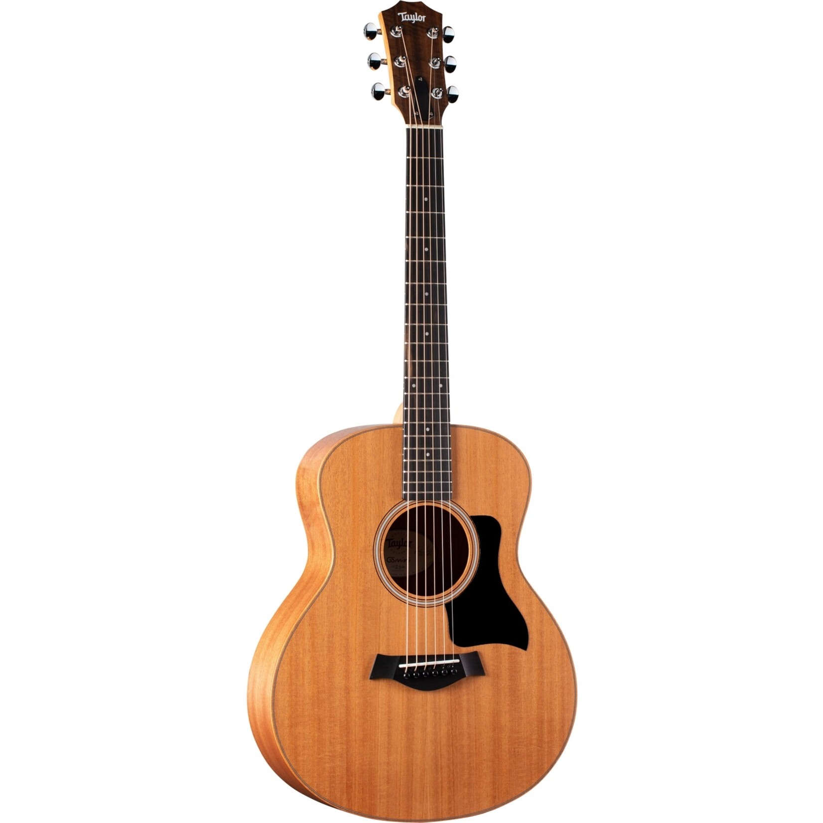 Taylor Guitars Taylor Guitars GS Mini-e Mahogany