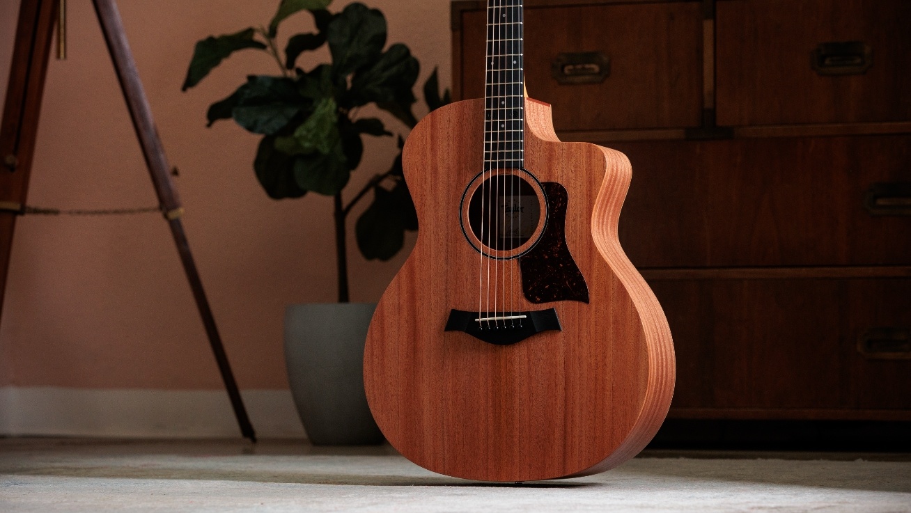 Taylor 24ce acoustic elecctric guitar