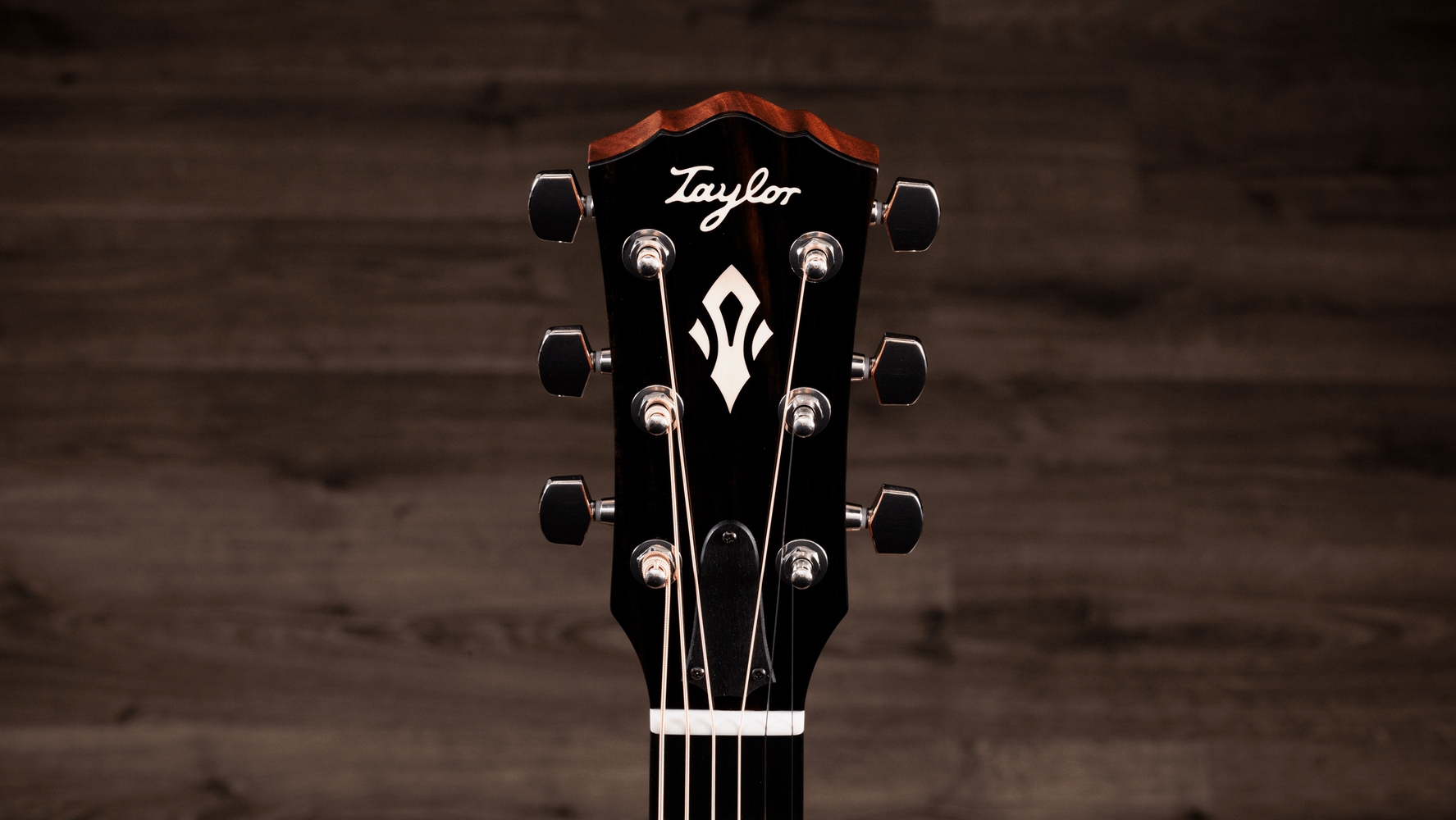 Taylor Gold Label 514e Gallery 2