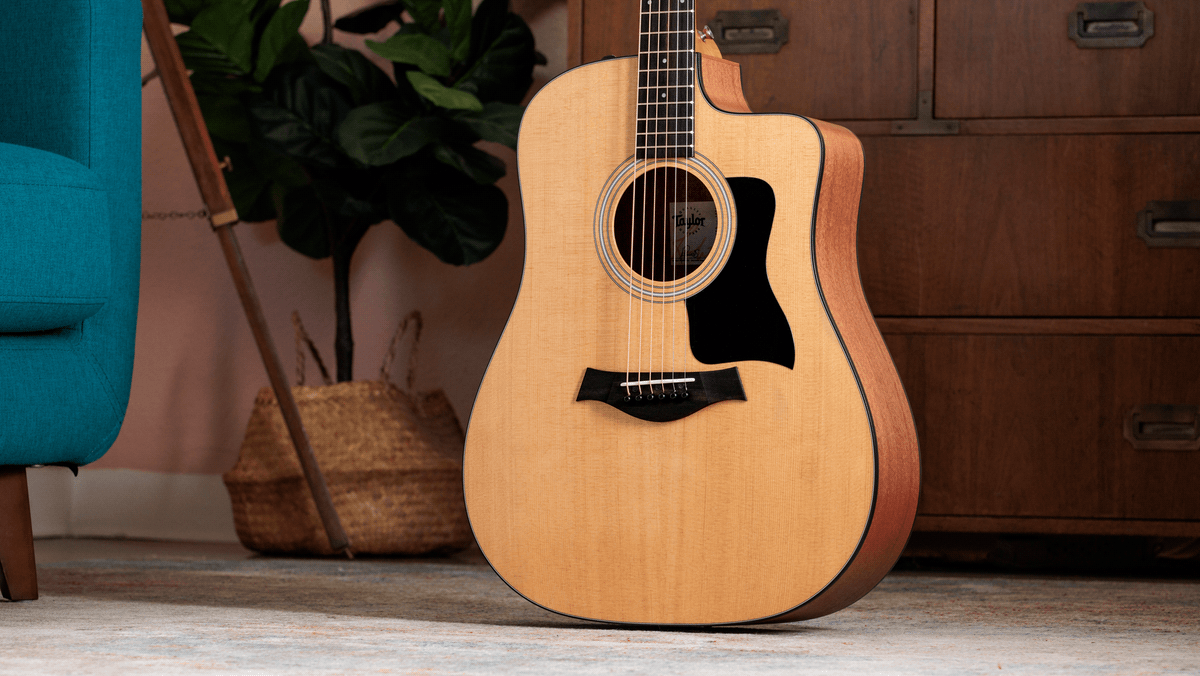 Taylor 110ce Gallery 1