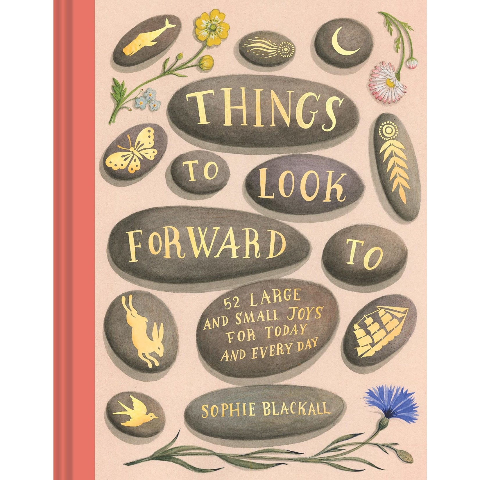 Hachette Books Things to Look Forward To