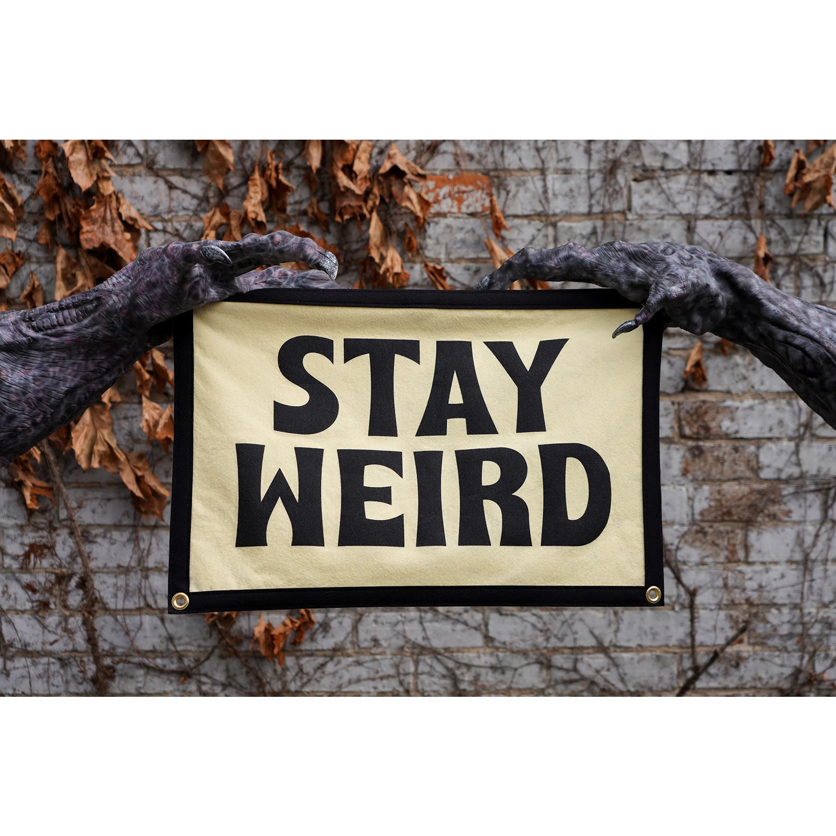 Oxford Pennant Stay Weird Camp Flag