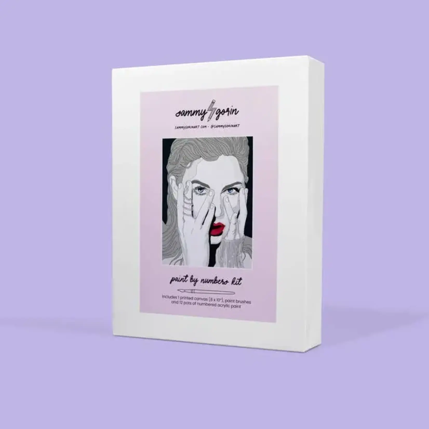 Sammy Gorin Taylor Swift Reputation Paint by Numbers Kit