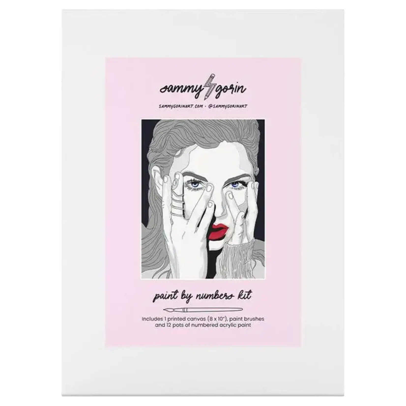 Sammy Gorin Taylor Swift Reputation Paint by Numbers Kit