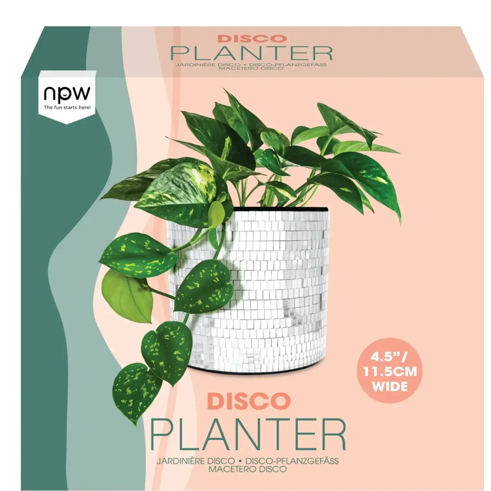 NPW Plant Life Disco Planter 5”