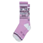 Gumball Poodle Owner Of The World's Cutest Dog Gym Crew Socks