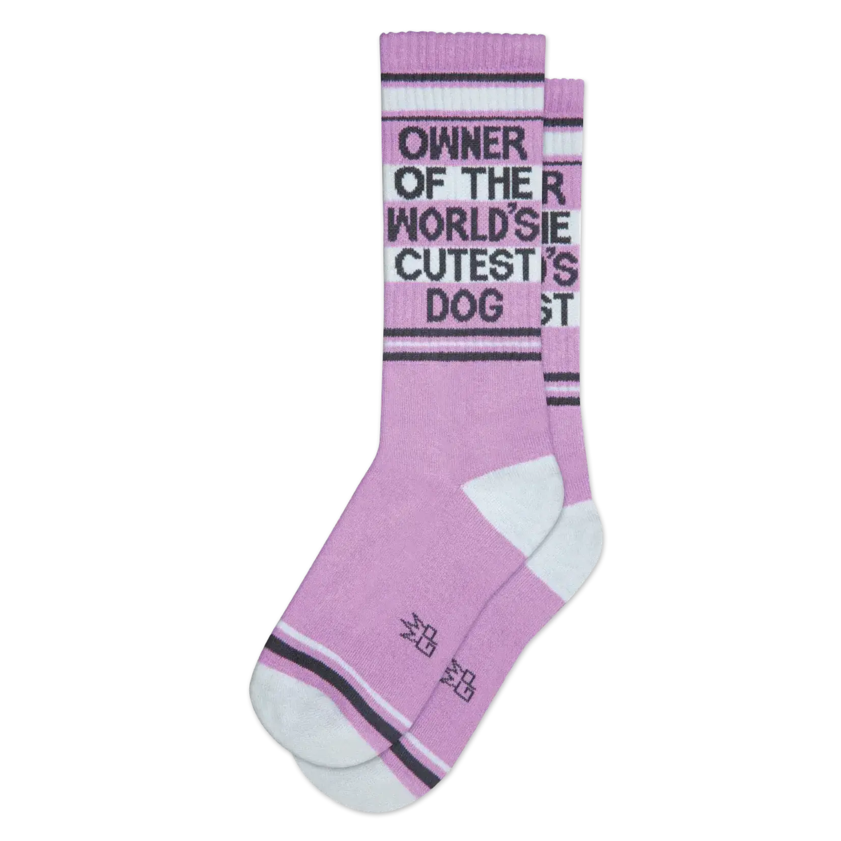 Gumball Poodle Owner Of The World's Cutest Dog Gym Crew Socks