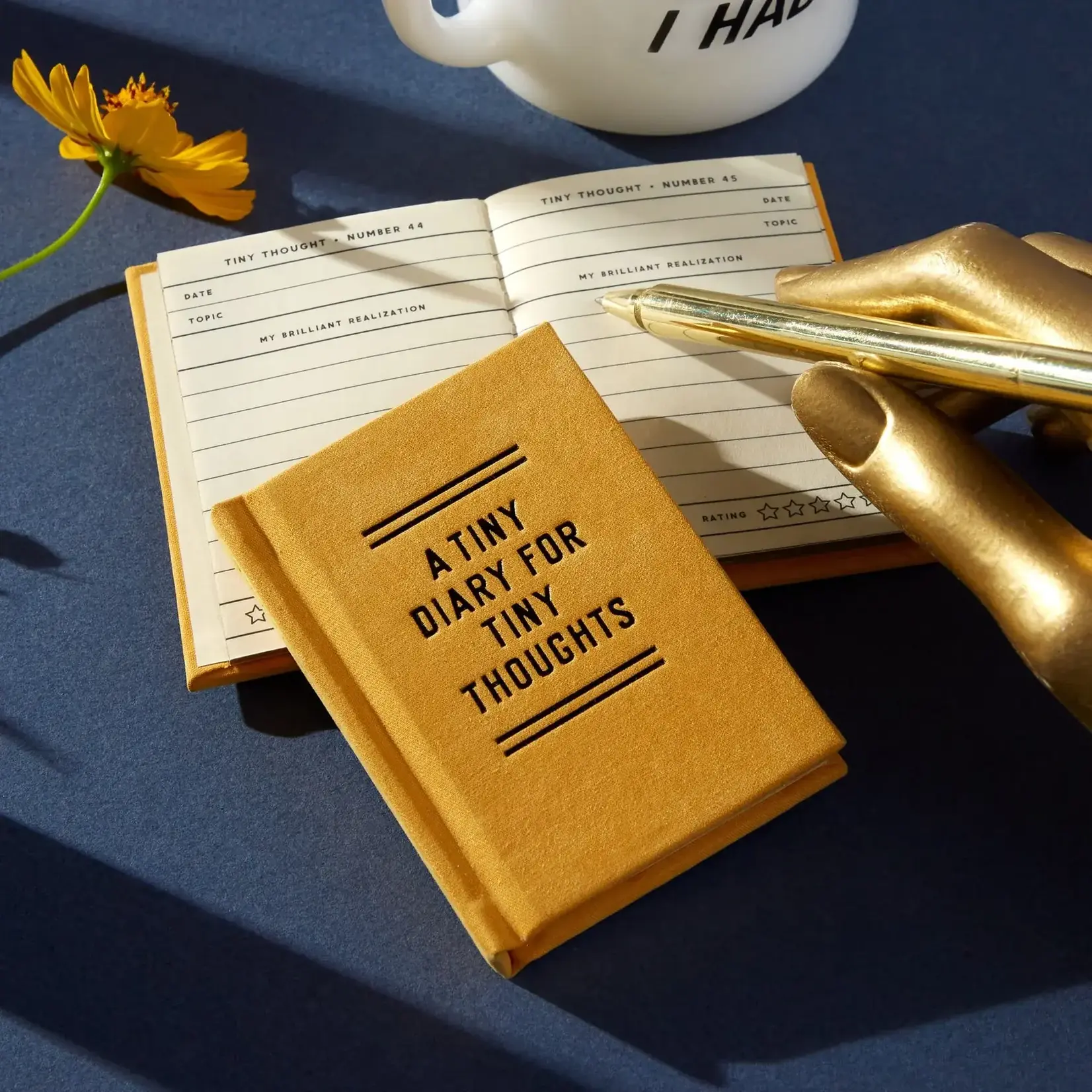 Hachette Books Tiny Diary for Tiny Thoughts