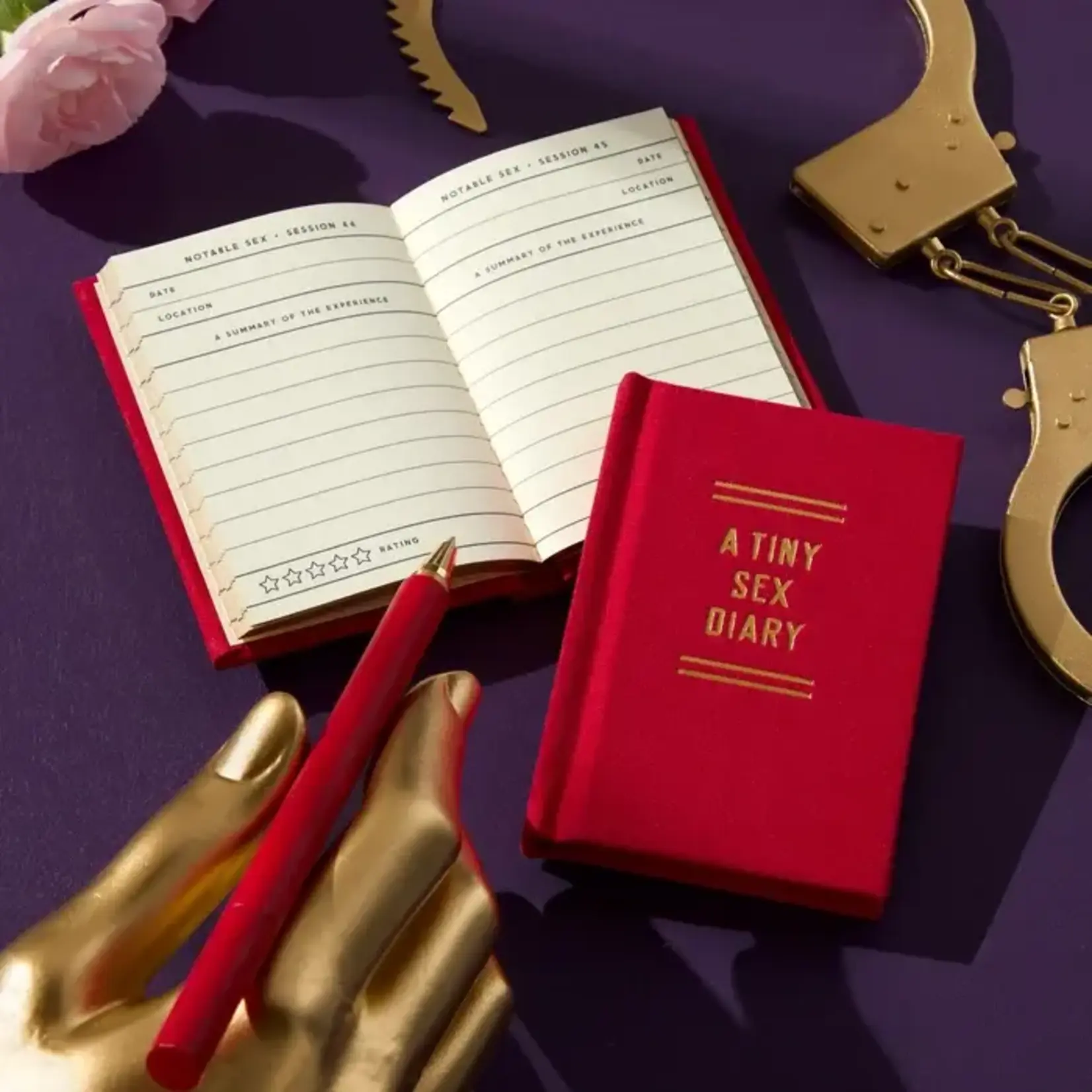Hachette Books Tiny Sex Diary