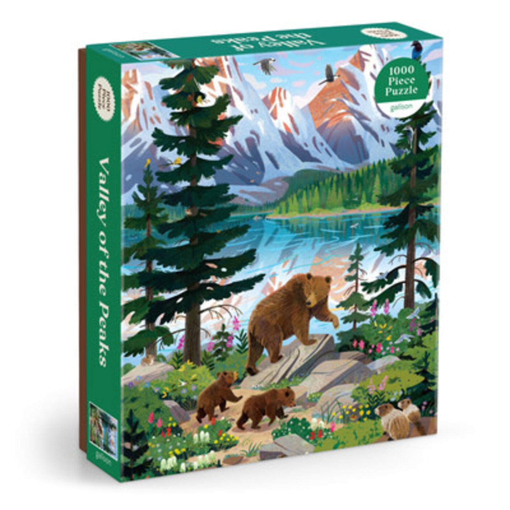 Hachette Books Valley of the Peaks 1000 pc Puzzle