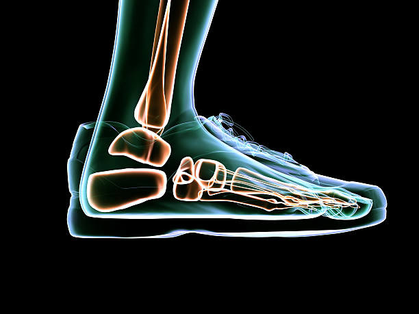 Not Just about your feet: Custom Orthotics can resolve pain in back, hips  and knees. - Mountainview Foot and Ankle