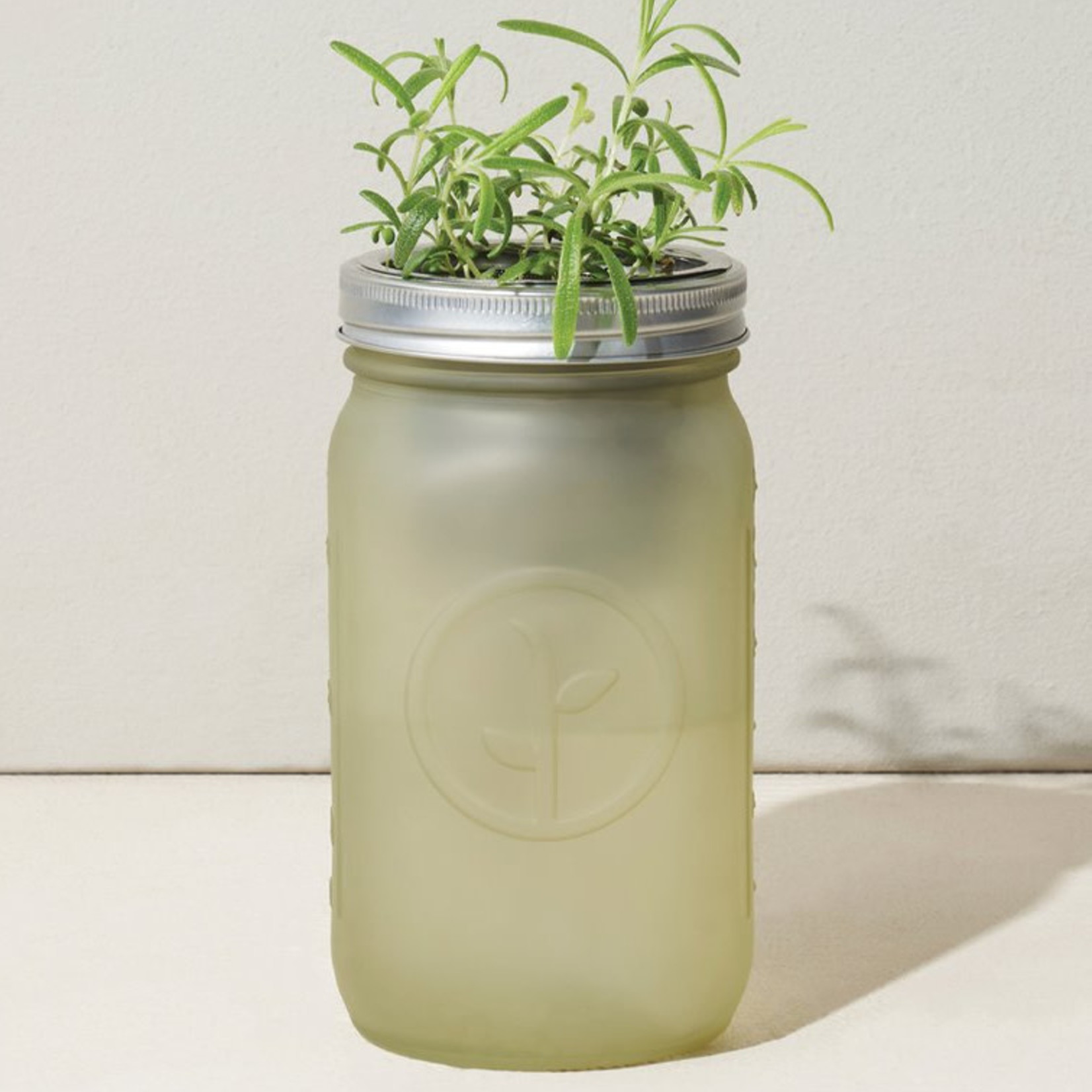 Modern Sprout Garden Jar (Mint)