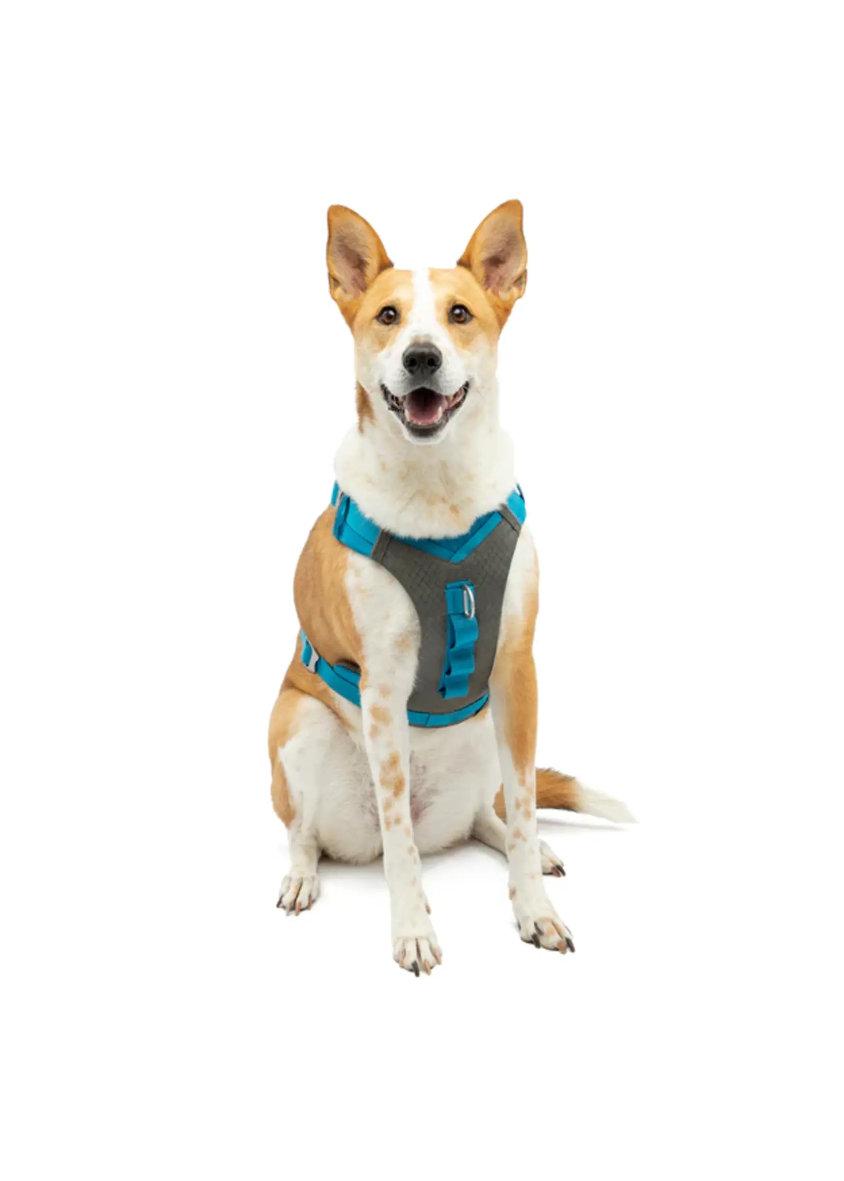 Kurgo Kurgo Journey Air Harness