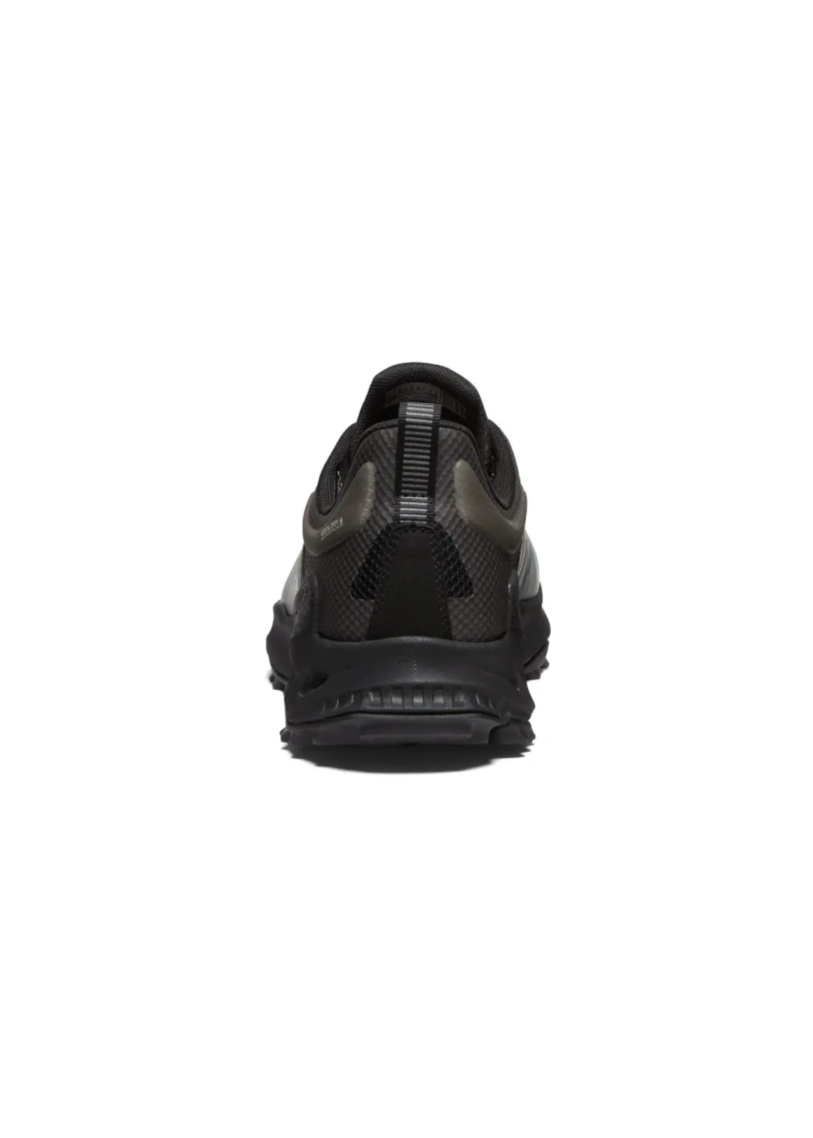 Keen M's Zionic WP
