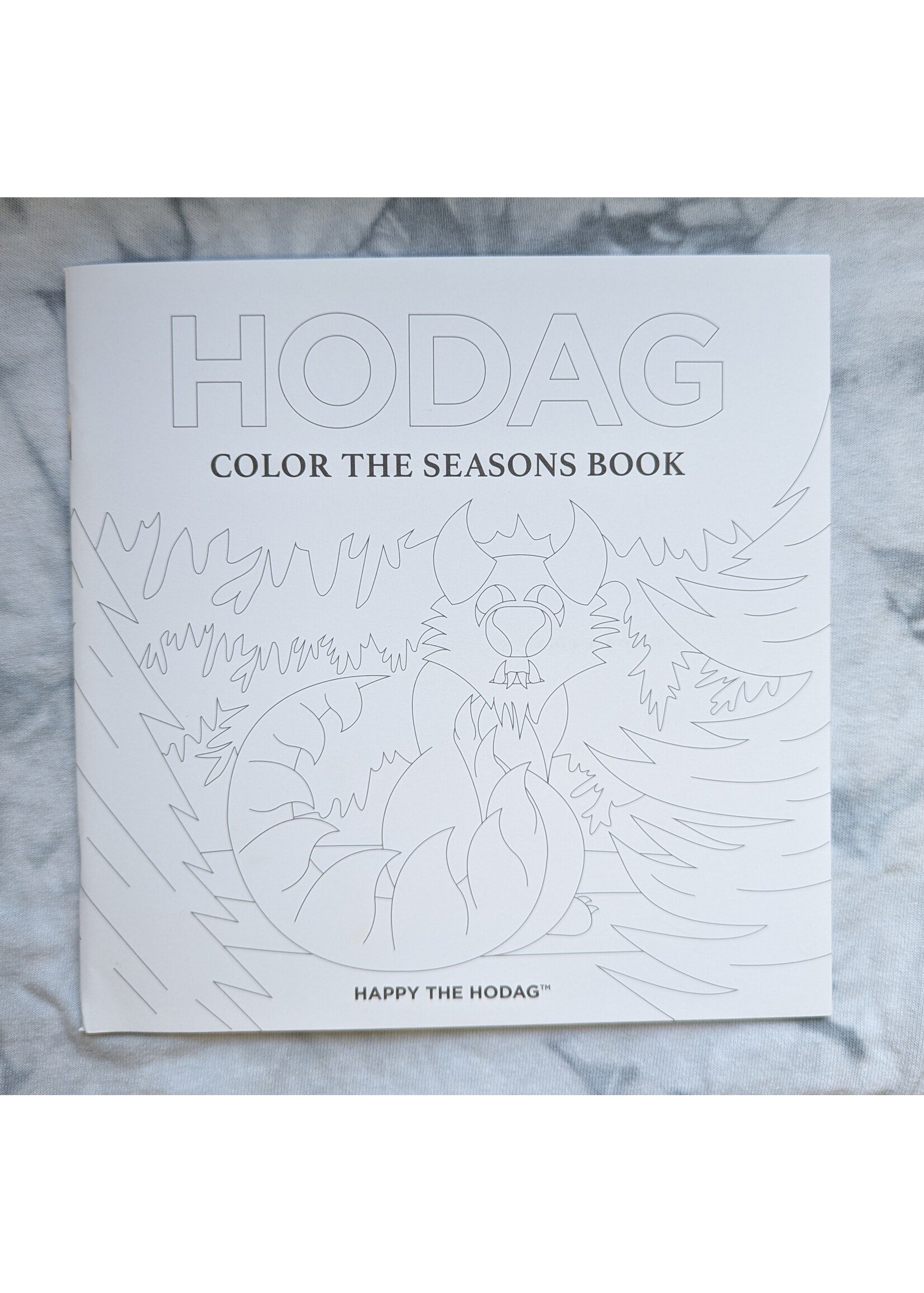 Happy the Hodag Happy Hodag Color The Seasons Book