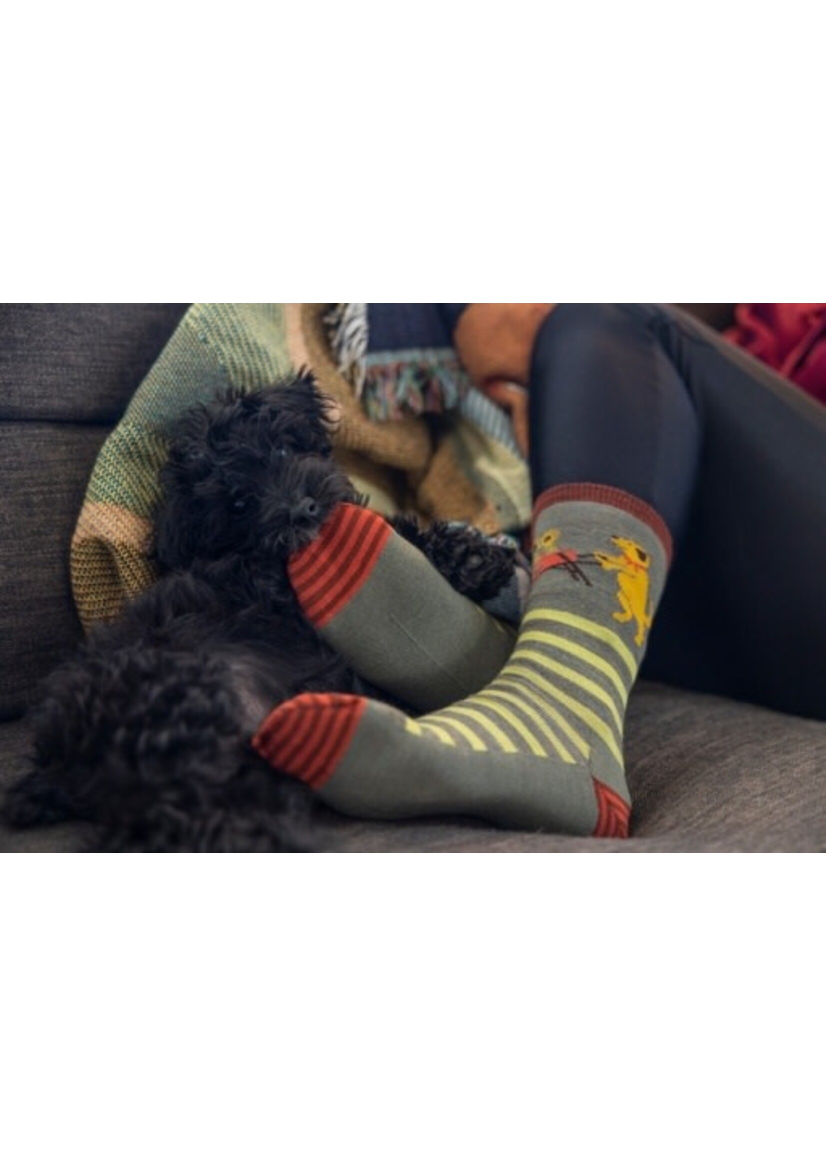 Darn Tough Vermont Darn Tough Women's Animal Haus Crew Lightweight Lifestyle Socks