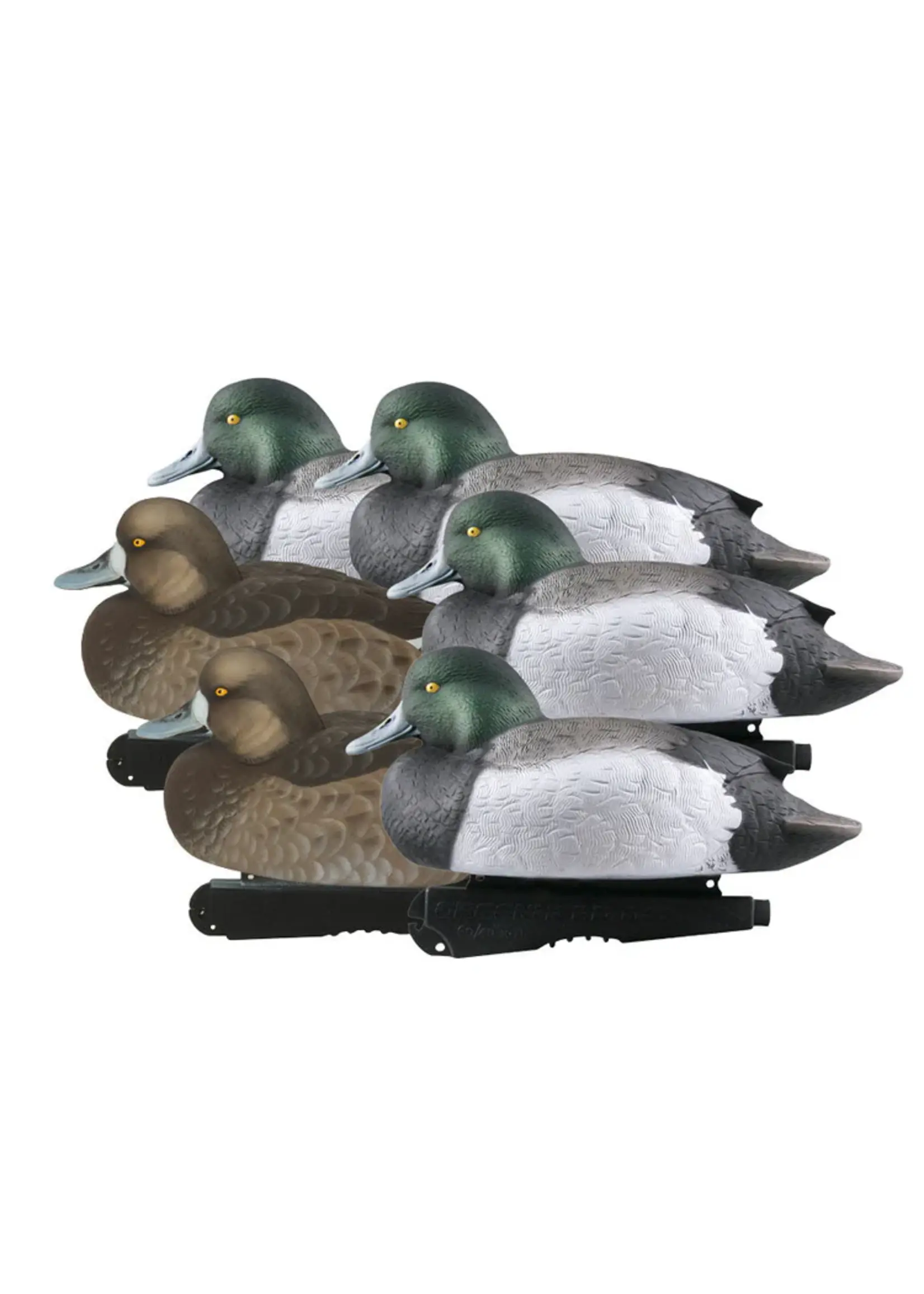 Avery GHG Life-Size Blue-Bills