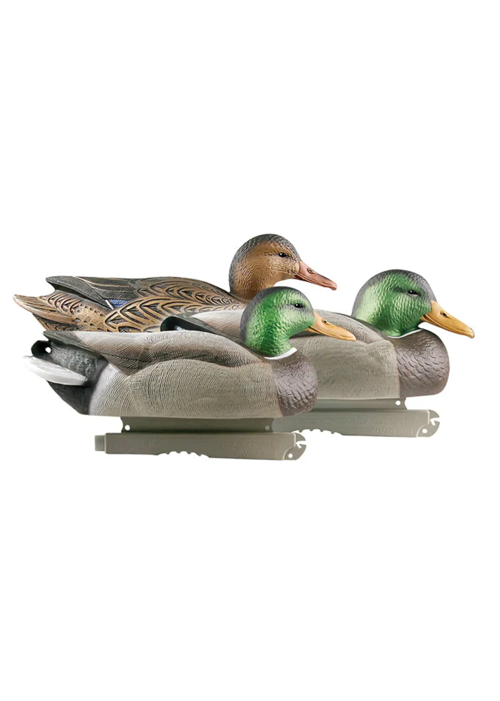 Avery GHG Life-Size Mallard 6 Pack