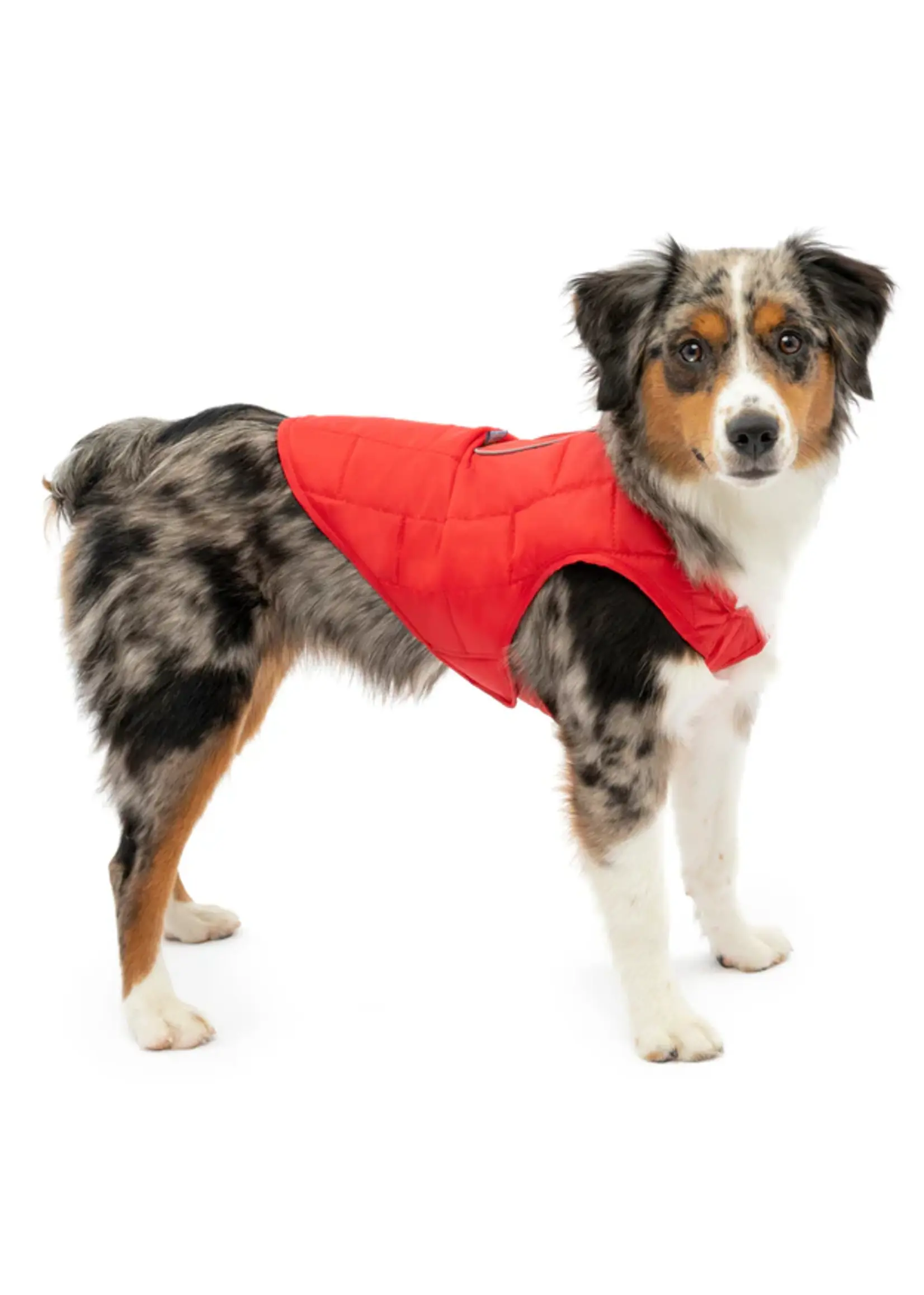 Kurgo Kurgo Loft Jacket