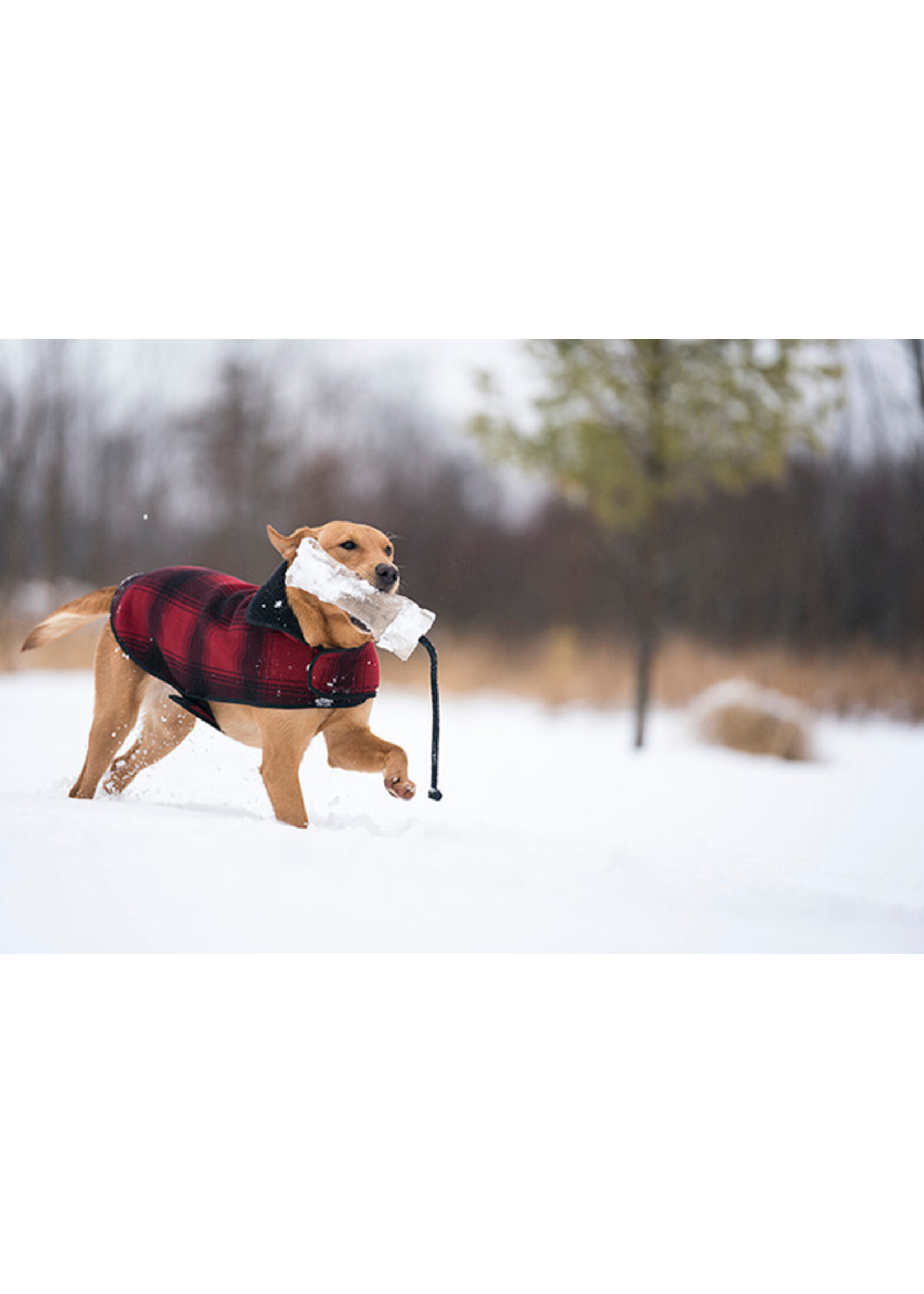 Stormy Kromer Stormy Kromer Dog Jacket