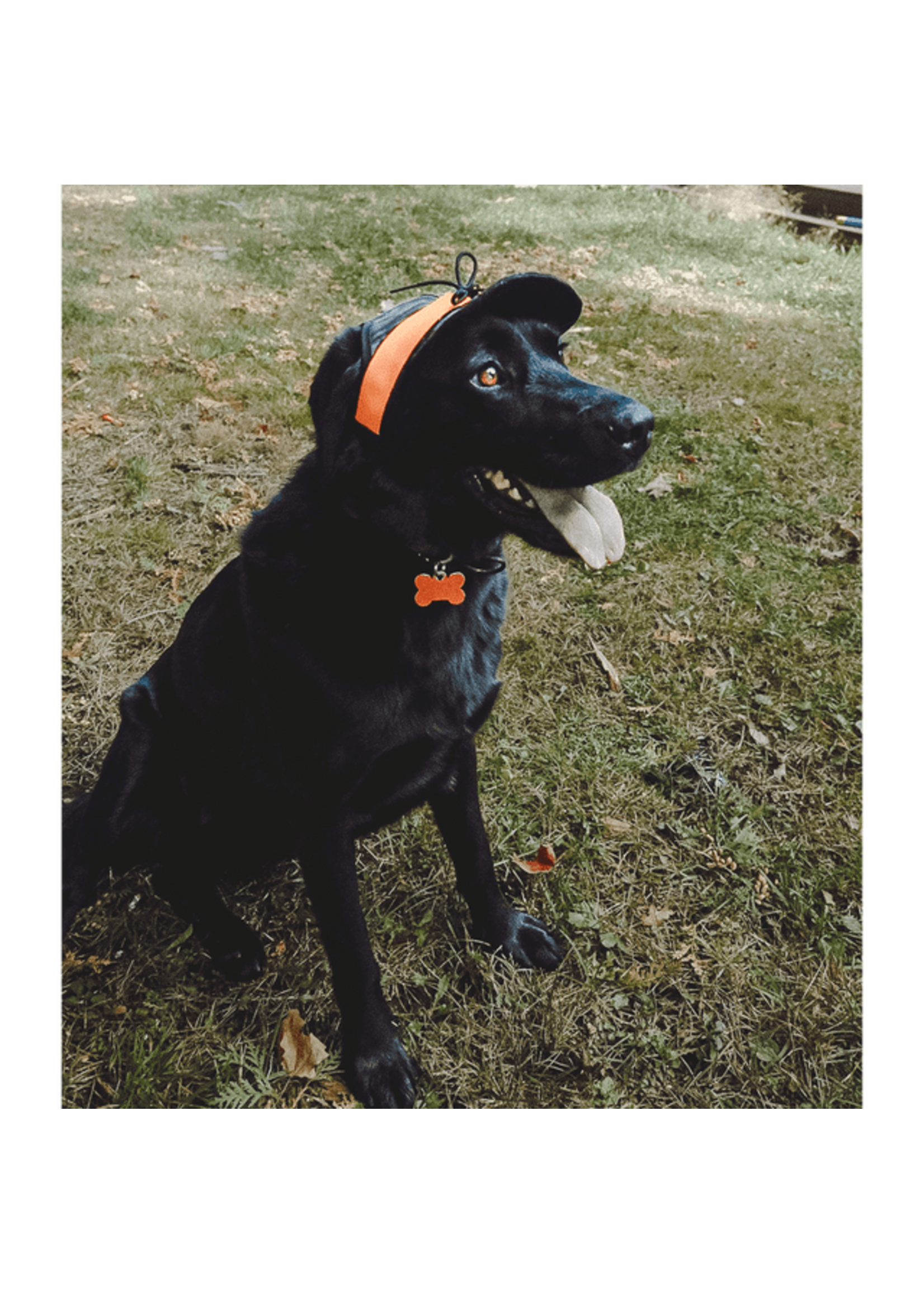 Stormy Kromer Stormy Kromer Critter Kromer