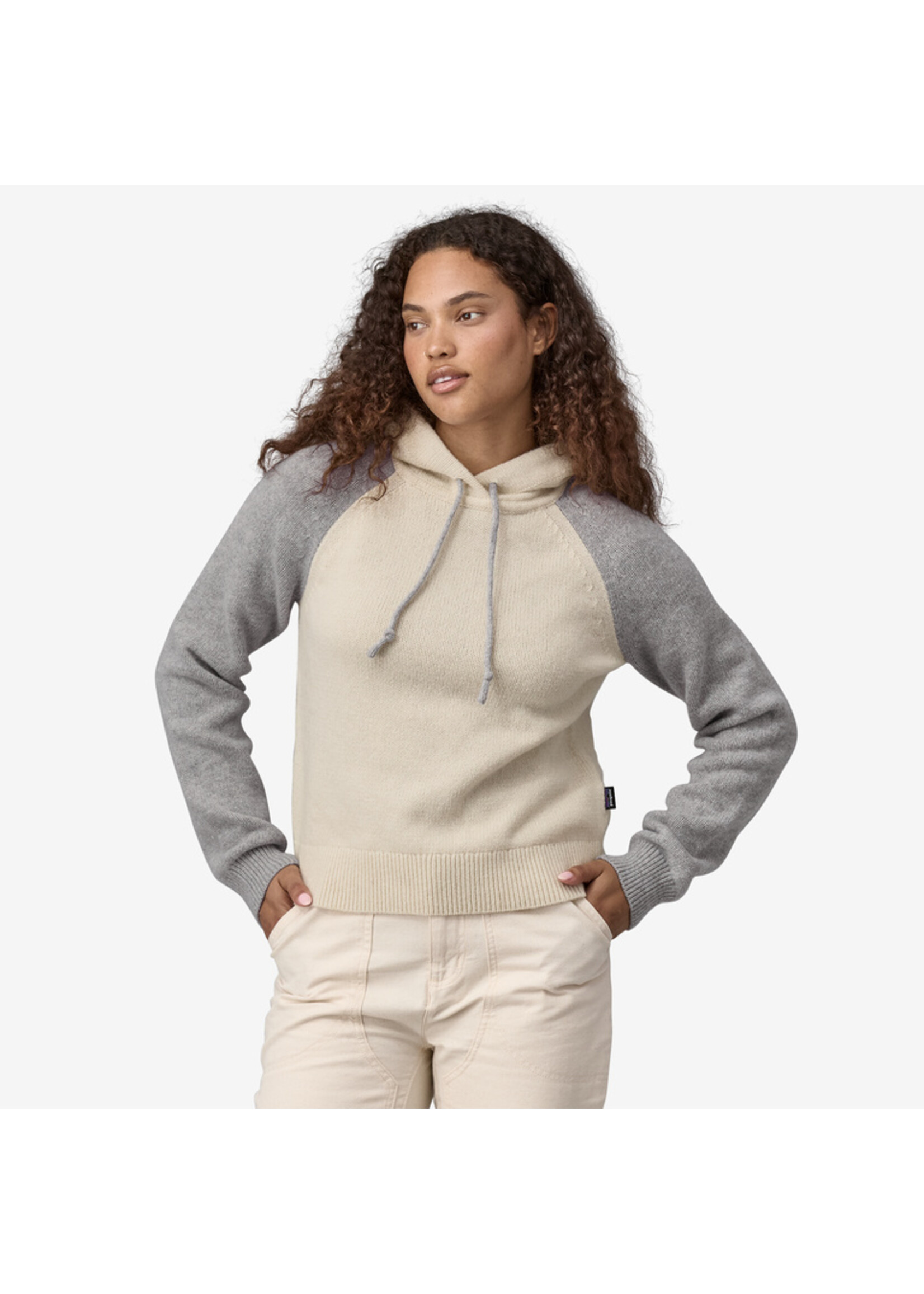 Patagonia Patagonia Women's Recycled Wool-Blend Hooded Pullover Sweater