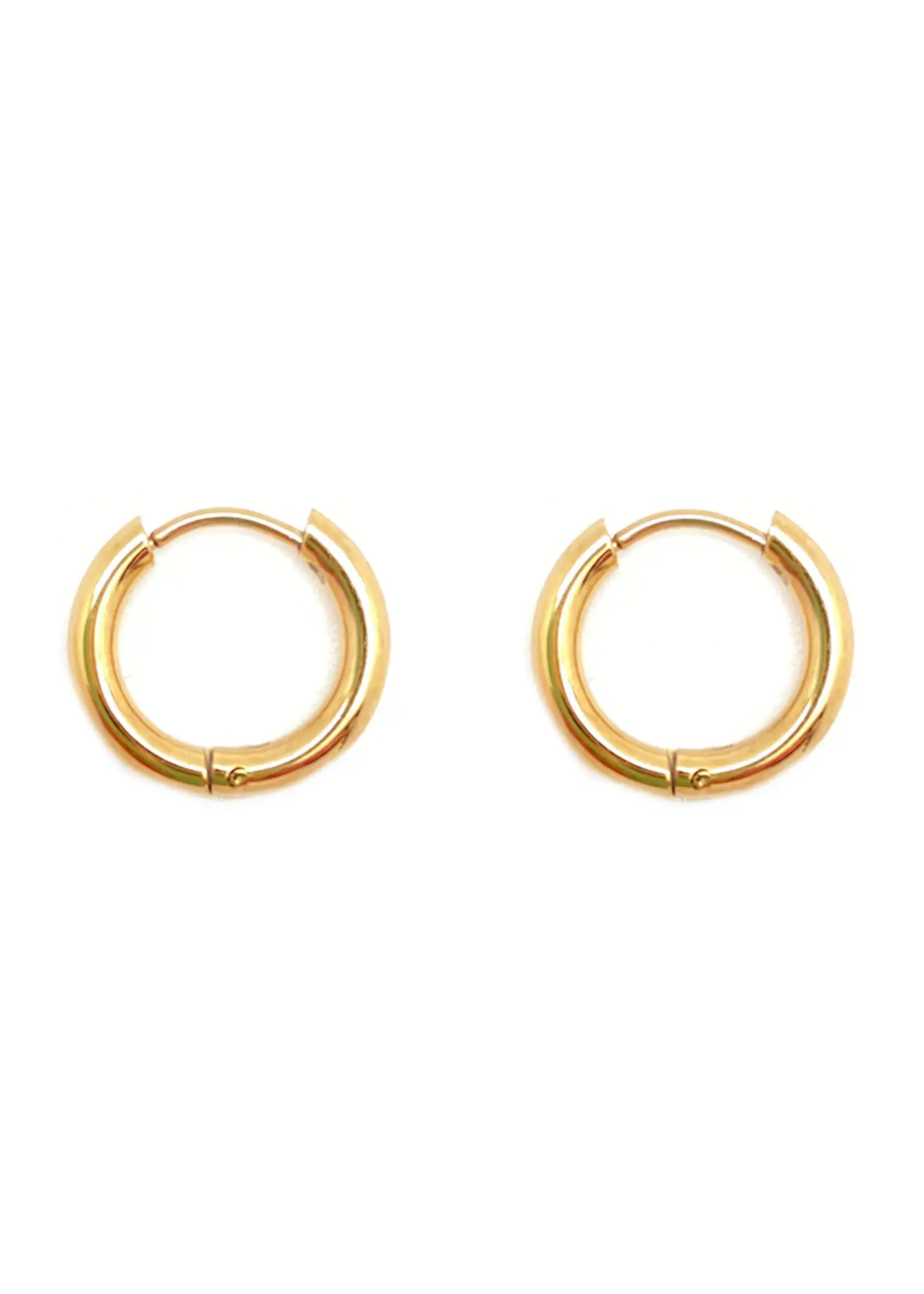 Bronwen Bronwen Handy Huggie Hoop Earrings - Medium
