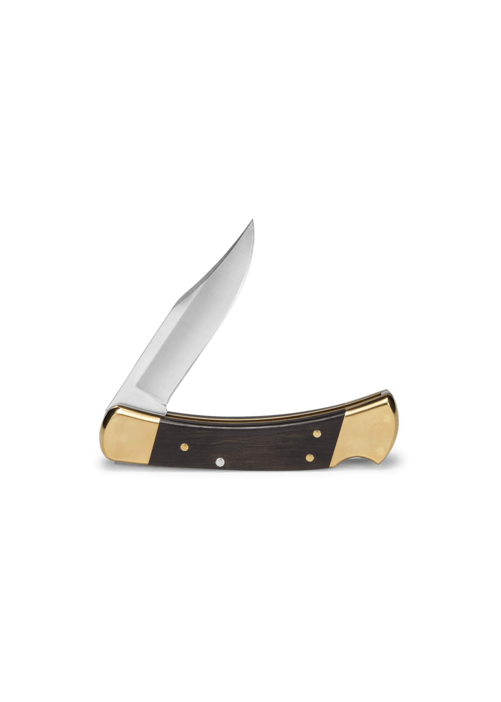 Buck Folding Hunter