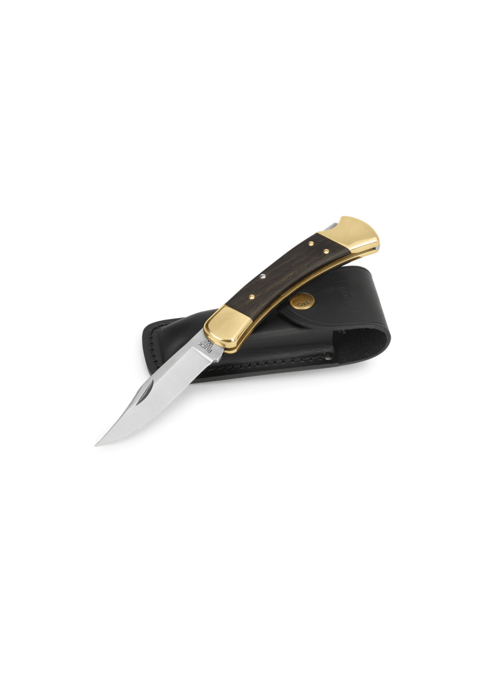 Buck Folding Hunter