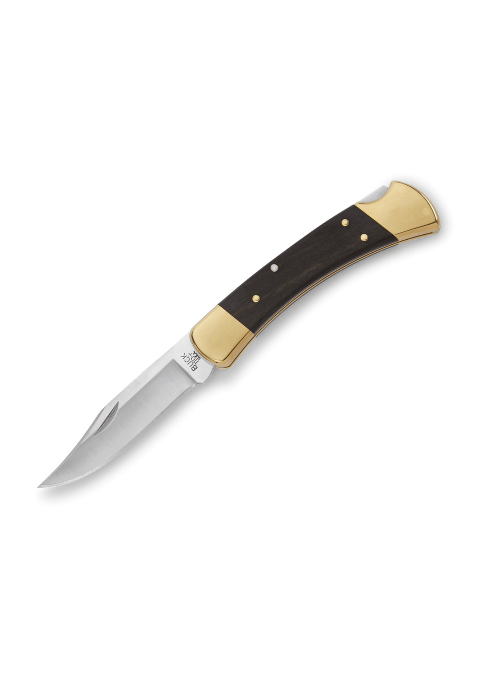 Buck Folding Hunter