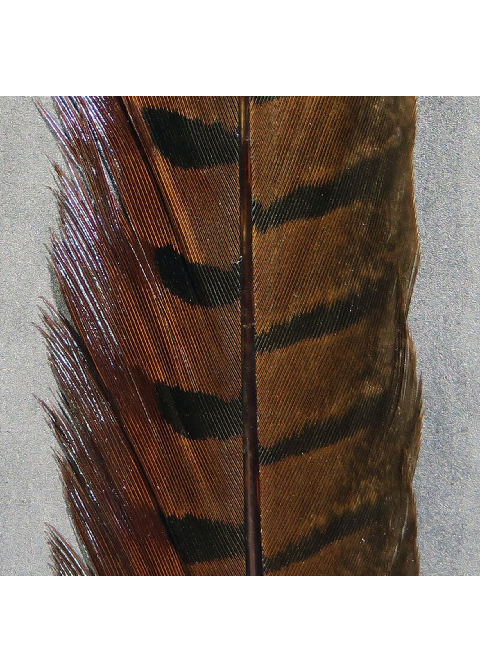 Hareline Hareline Pheasant Tail Feathers